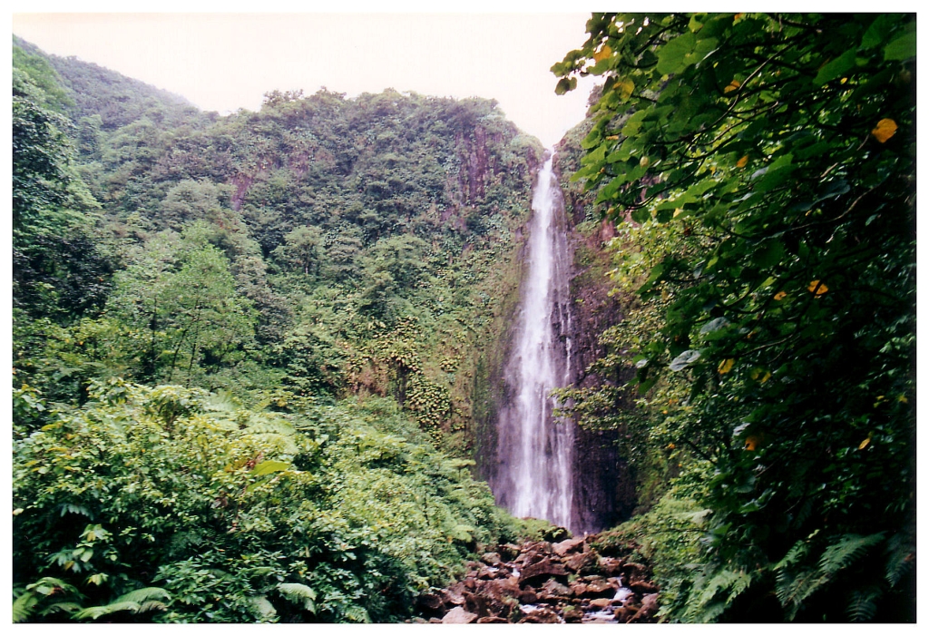 06 - Chutes du Carbet (2).jpg